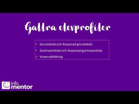 Gallra elevprofiler